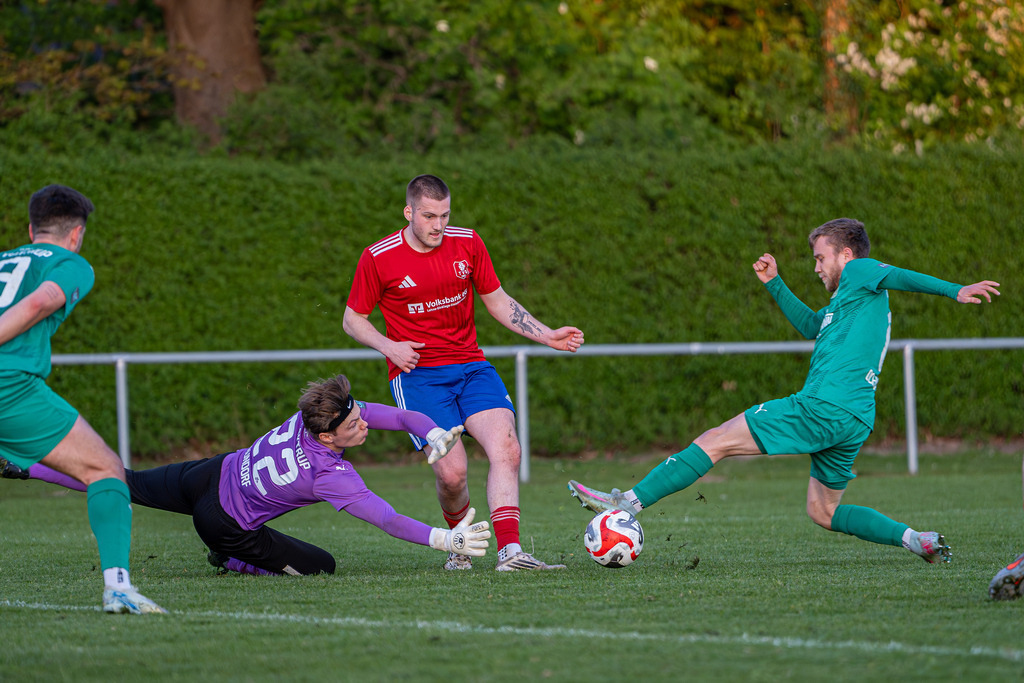 Fußball I Herren I Saison 2025-2026 I Landesliga Weser-Ems I 17. Spieltag I TV Dinklage - VfR Voxtrup I 12613 | jns.sportfotos - Realisiert mit Pictrs.com