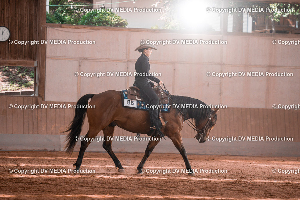 NE100391 | dv-media-shop - Realisiert mit Pictrs.com