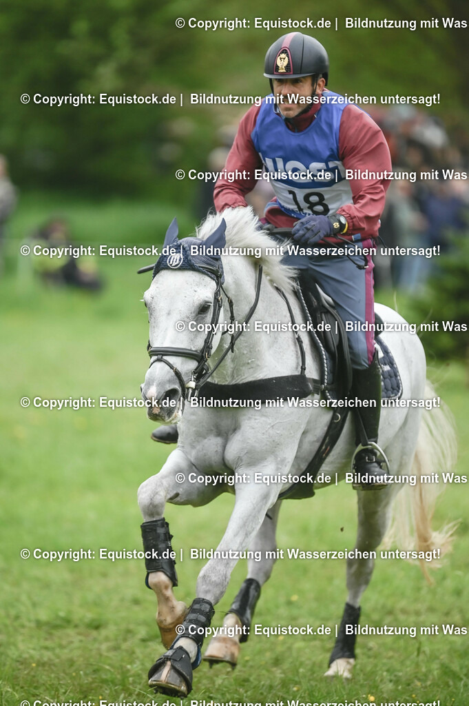 20230513_CCI4_Gelände_0233 | equistock