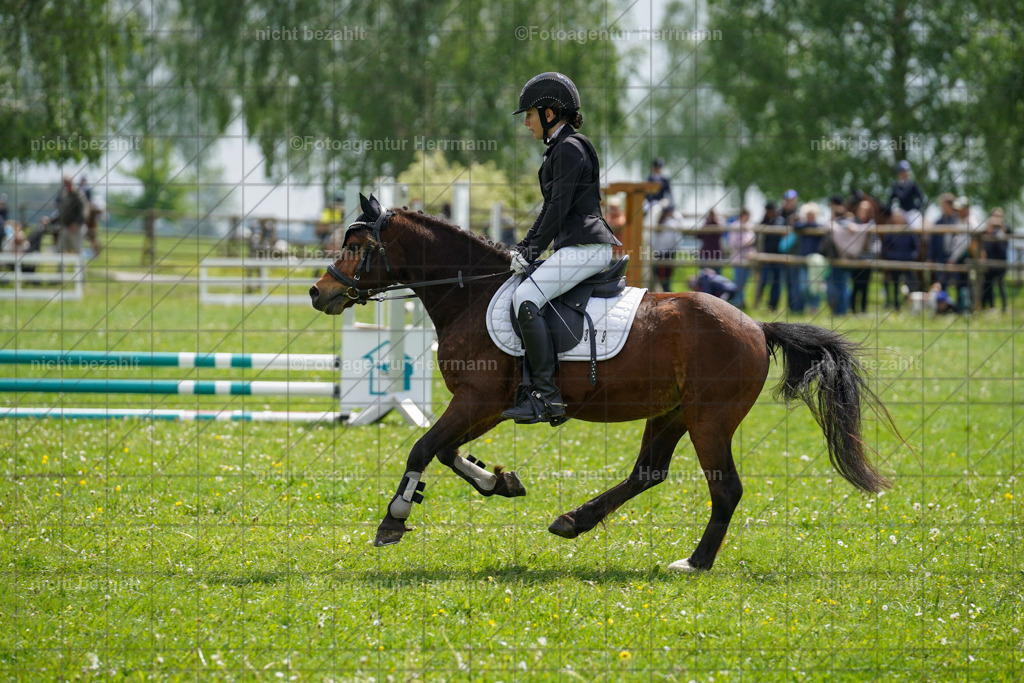20240509-FAH02354 | Turnierbilder der Turnierfotografen Bayern, Pferdesport Fotografie, Reitsportbilder, Turnier Landberg am Lech, Turnierbilder bayern, Fotoagentur Herrmann