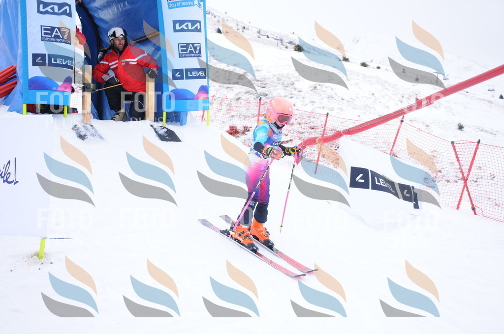 DSC_7986 | holidayphoto