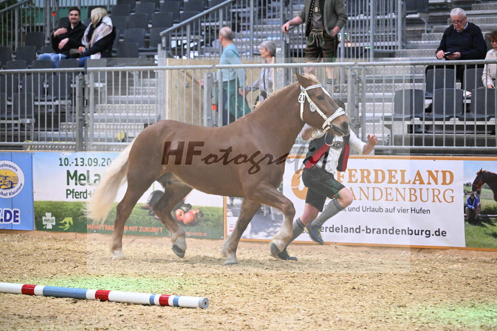 Kat-Nr. 21 Heleni v. Sultan_Hoeck_1260312 | hf-fotografie - Realisiert mit Pictrs.com