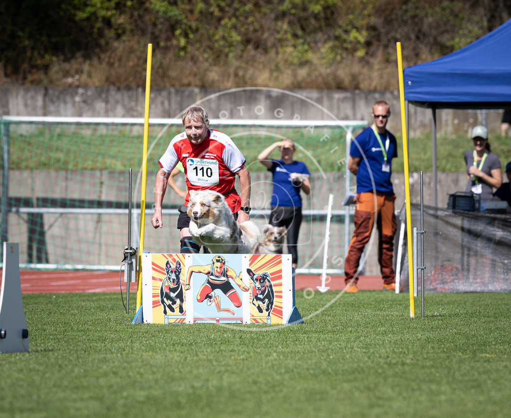 Pfotenfotografie_DV3A8246 | Hundefotografie, Tierfotograf, Pfotenfotografie, Fotoshooting Hund, Hunde Portrait, Hundesport, Hundeportraits, Heideshooting, Hunde, Sportfotograf, Hundefotograf, Turnierhundsport, THS,  - Realisiert mit Pictrs.com