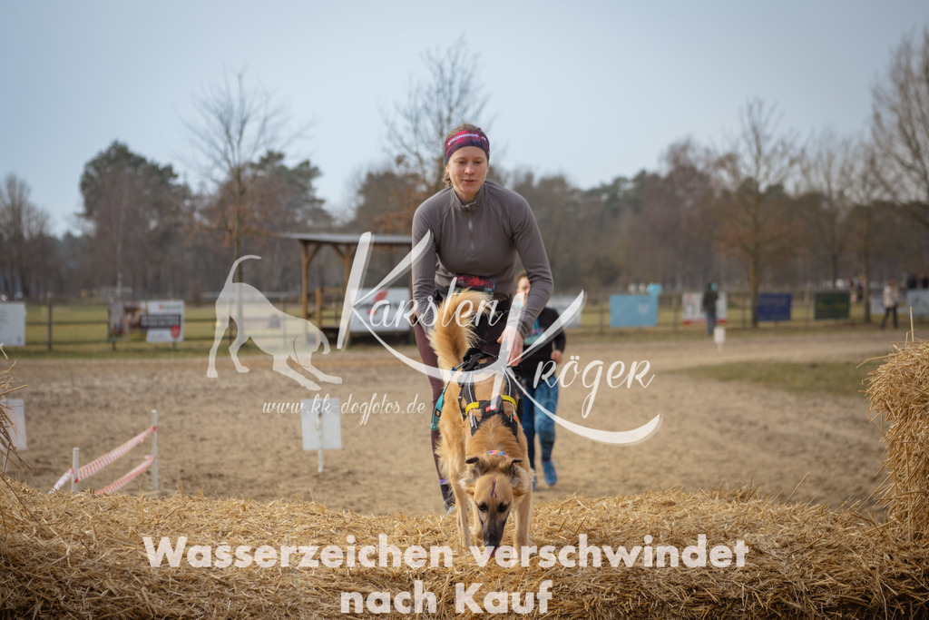 1047_ZZ99166 | kk-dogfotos