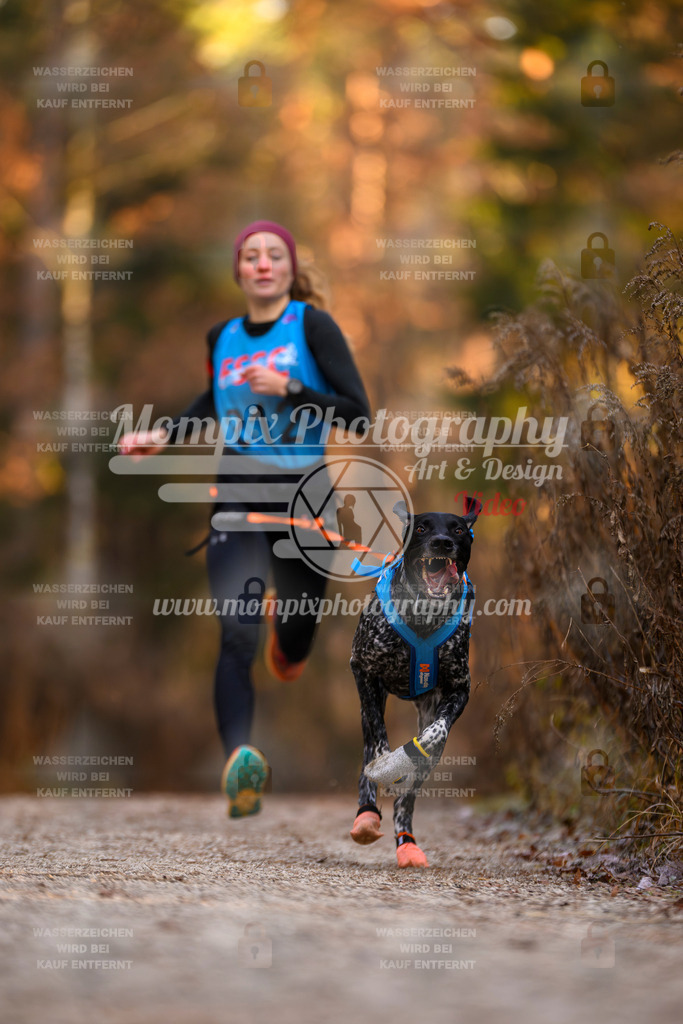 MompixPhotography_DM_AKDM_SO_2025_-9 | PayLife