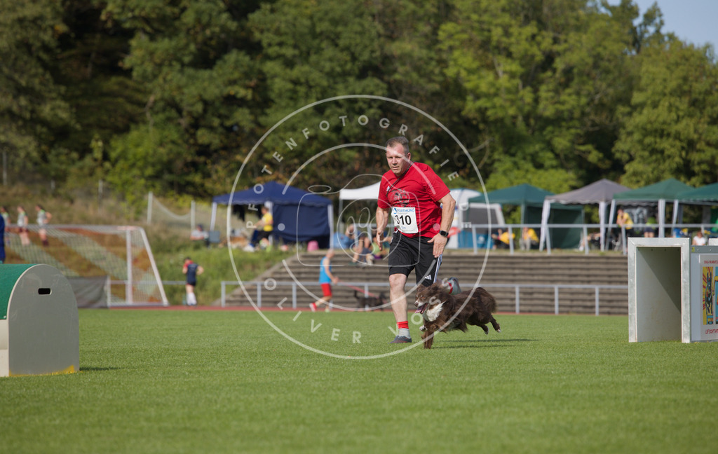 0L8A3665 | Hundefotografie, Tierfotograf, Pfotenfotografie, Fotoshooting Hund, Hunde Portrait, Hundesport, Hundeportraits, Heideshooting, Hunde, Sportfotograf, Hundefotograf, Turnierhundsport, THS,  - Realisiert mit Pictrs.com