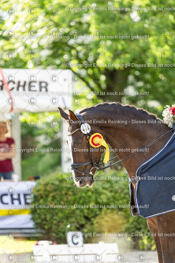 CL5A6772-2 | Emilia Reinking Fotografie - Realisiert mit Pictrs.com