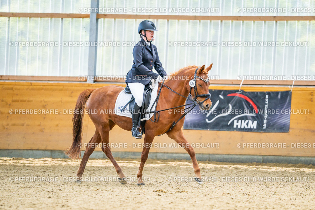 DSC04951 | Pferdegrafie