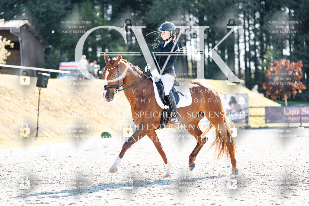 CK906057 | Turnierfotografie Pferdefotografie Trier Rheinland-Pfalz Pferdesport Reitsport Tierfotografie Sportfotografie Pferdevideo Pferdevideografie Equestrianvideography equestrianphotography  - Realisiert mit Pictrs.com