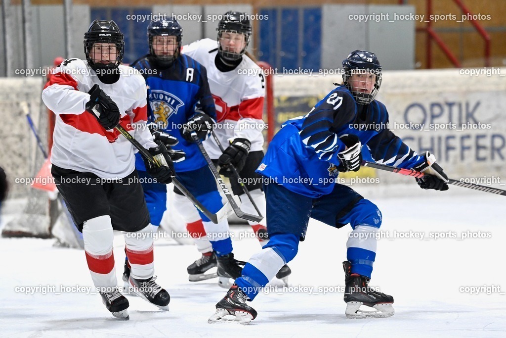 BST_3217 | hockey sports photos, Pressefotos, Sportfotos, hockey247, win 2day icehockeyleague, Handball Austria, Floorball Austria, ÖVV, Kärntner Eishockeyverband, KEHV, KFV, Kärntner Fussballverband, Österreichischer Volleyballverband, Alps Hockey League, ÖFB, 