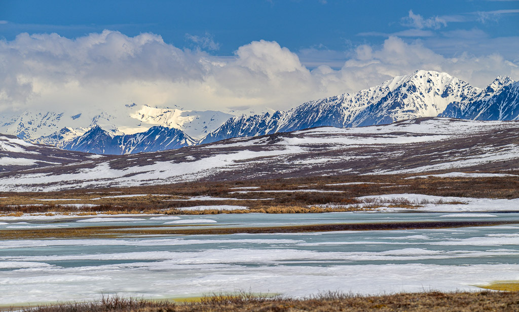 Alaska | Denali Highway - Realisiert mit Pictrs.com