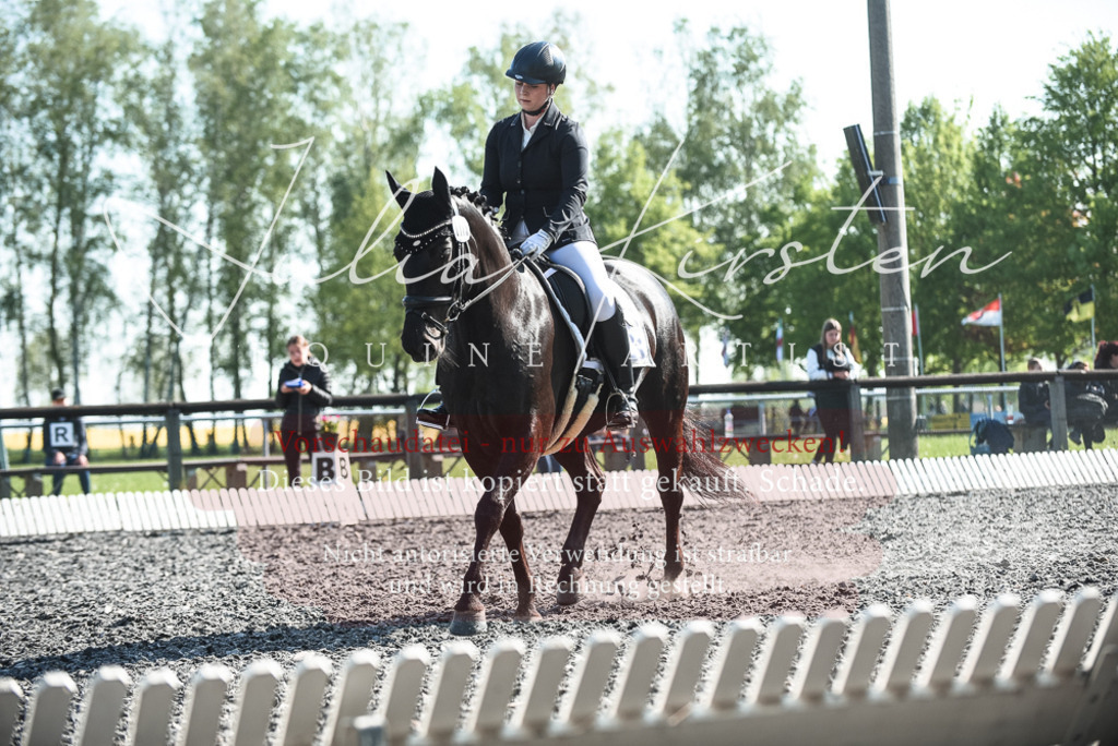 DSC_8628 | Pferde- und Turnierfotografie in Westsachsen. Pferdeportraits, Auftragszeichnungen und intuitive Kunst.