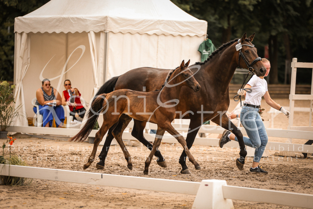 SaPA00333 | Leoni Ertmer Photography - Realisiert mit Pictrs.com