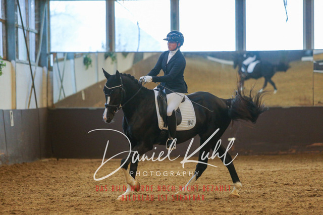 IMG_7736 | Turniersportfotografie; Pferdefotografie; Dressurfotografie