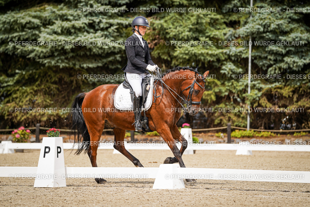 DSC05045 | Pferdegrafie