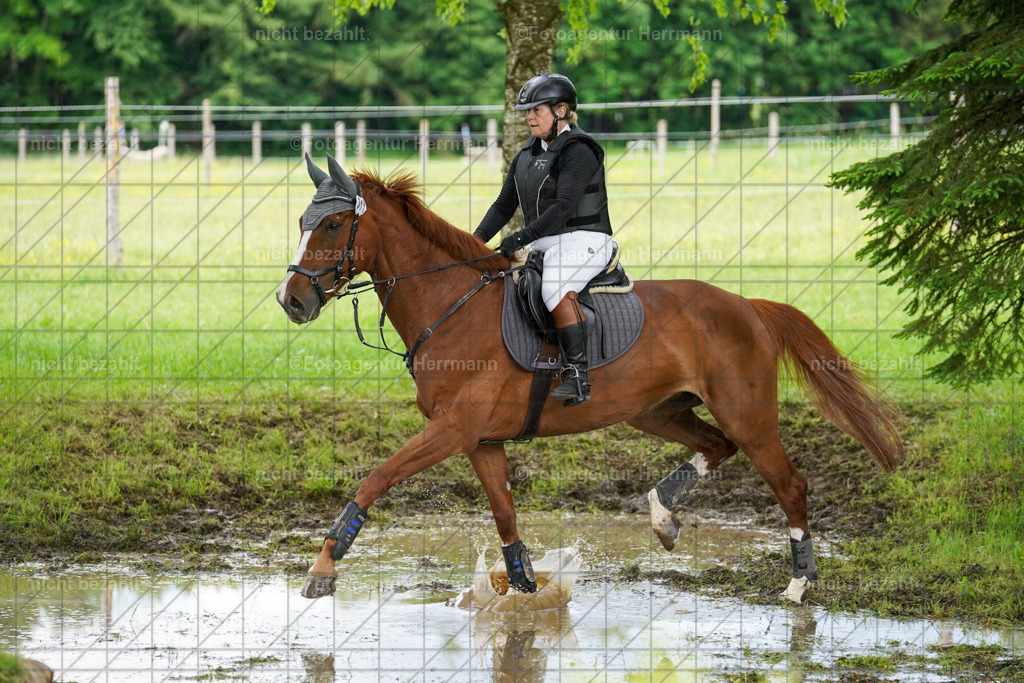 20240518-FAH03908 | Turnierbilder von Niederseon, Turnierfotografen Bayern, Fotoagentur Herrmann, Geländebilder, Reitsportfotografie