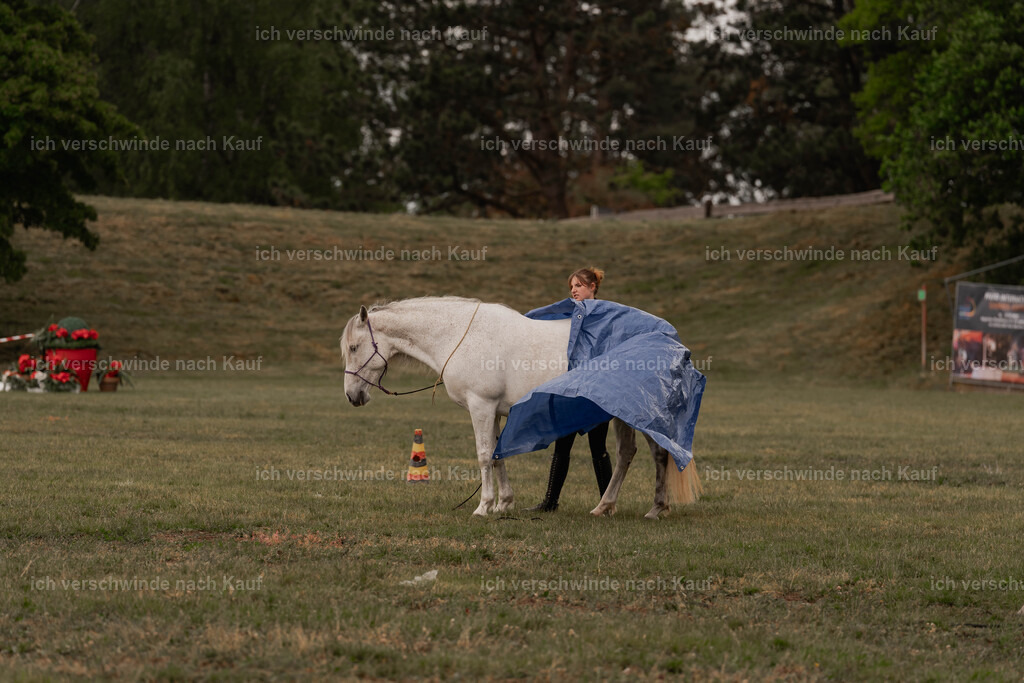 Showprogramm-31 | working equitationturnier fotograf videograf stoibphotography marixx film working equitation deutschland reitsport turnierfotografie eventfotografie equestrian events