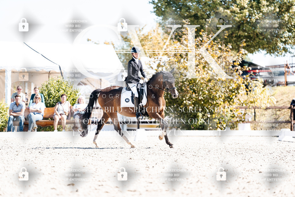 CK909660 | Turnierfotografie Pferdefotografie Trier Rheinland-Pfalz Pferdesport Reitsport Tierfotografie Sportfotografie Pferdevideo Pferdevideografie Equestrianvideography equestrianphotography  - Realisiert mit Pictrs.com