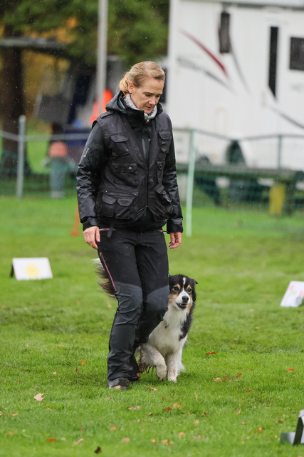 2025_Rally_Obedience_SM-115 | Ich fotografiere Hundeausstellungen, Sportanlässe, Zuchtstätten, Hundezucht, Hundeportrait, Lagotto - Realisiert mit Pictrs.com