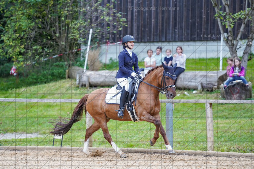 20231007-SN_00794 | Professionelle Turnier- und Reitsportfotografie - mit dem Finger am Auslöser. Pferdebilder aus dem Reitsport von den Turnierfotografen  Bayern , Pferdefotograf Bayern, Pferdeshooting Turnierbilder, Hochzeitsfotograf, Eventfotograf, Hochzeitsbilder