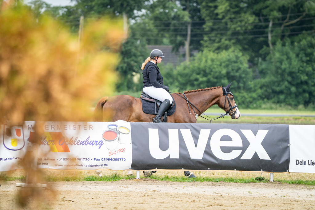 DSC01826 | Pferdegrafie