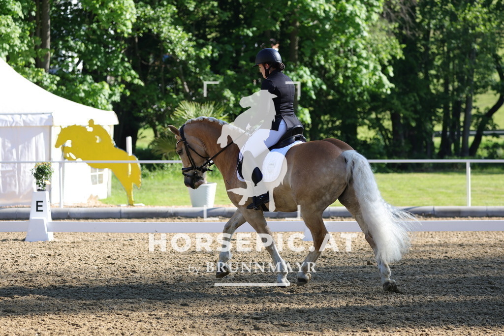 0P6A9344 | Willkommen bei Brunnmayr - Design & Fotografie – Ihrem Spezialisten für Reitturniere und Pferdeveranstaltungen in Oberösterreich, Salzburg und Bayern! Seit über 17 Jahren sind wir leidenschaftlich dabei.