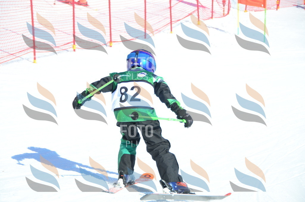 C5598 | holidayphoto