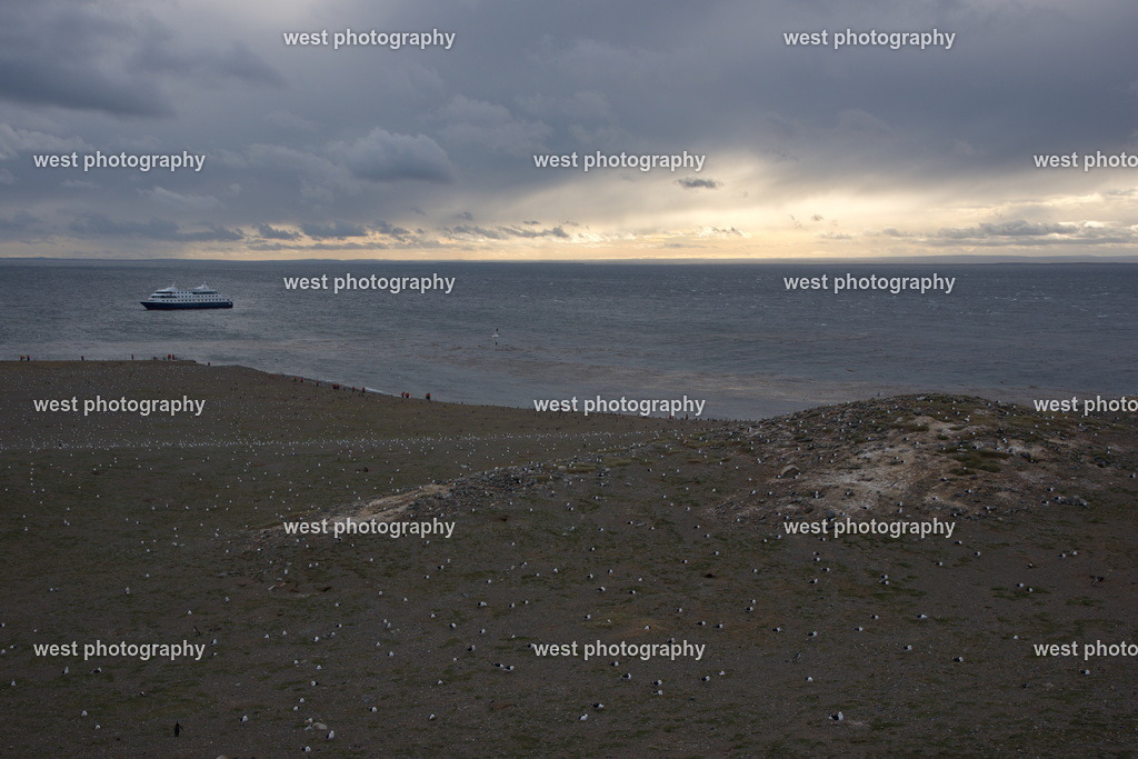 Estrecho de Magallanes 1 - CHI 2014 | west photography - Realisiert mit Pictrs.com
