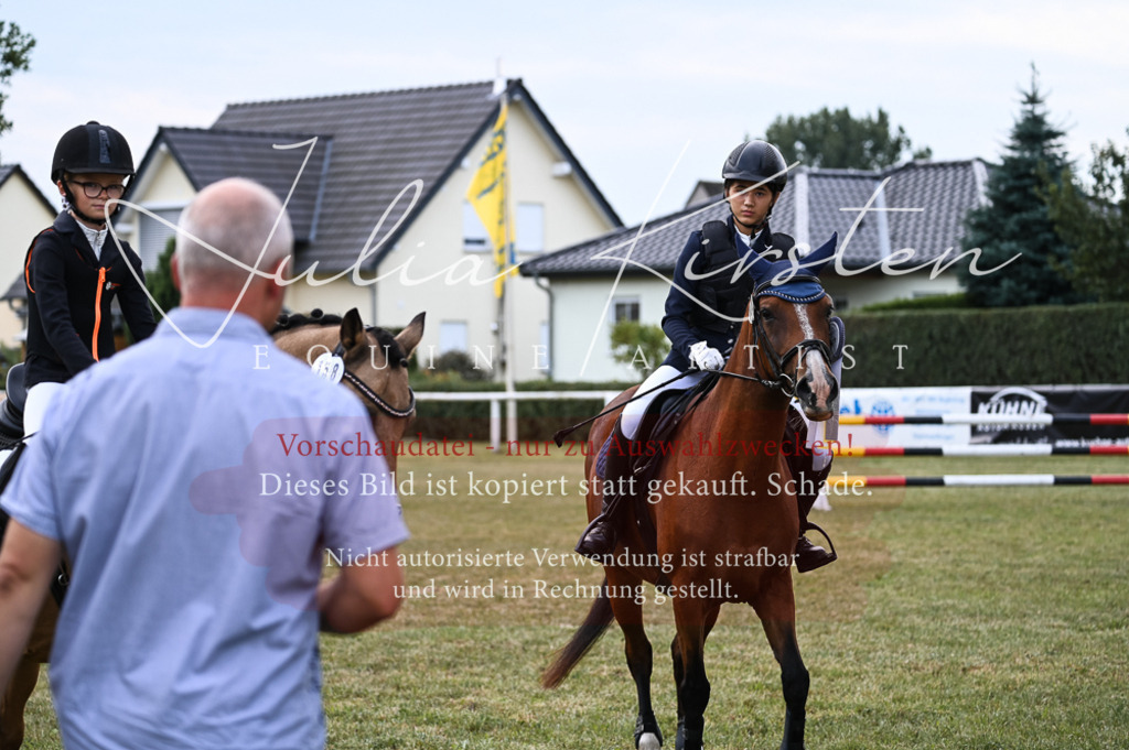 DSC_5764 | Pferde- und Turnierfotografie in Westsachsen. Pferdeportraits, Auftragszeichnungen und intuitive Kunst.