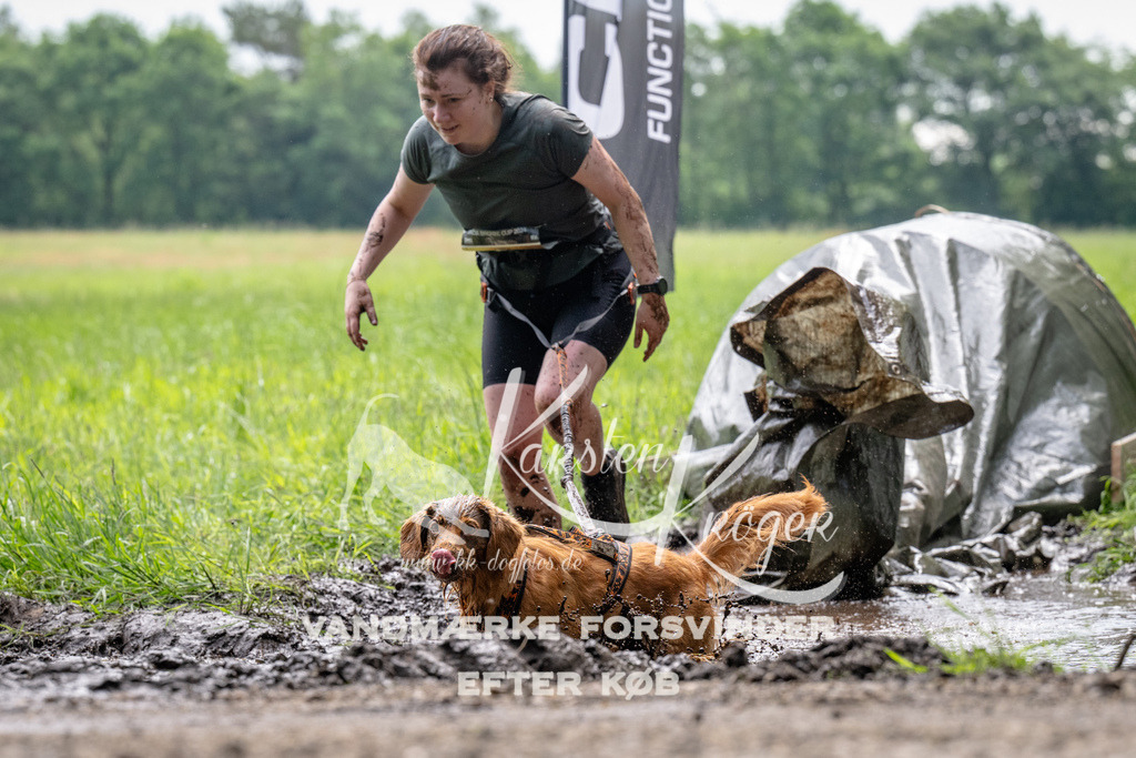 0941_ZZ91355 | kk-dogfotos