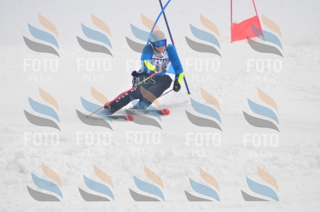 A6206 | holidayphoto