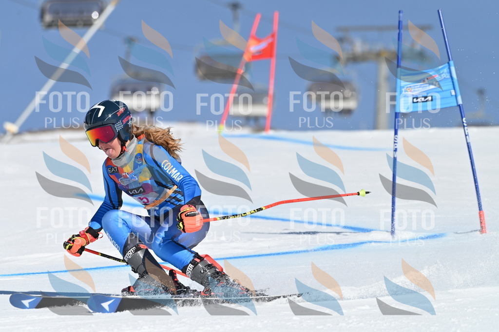 BGV_7657 | holidayphoto