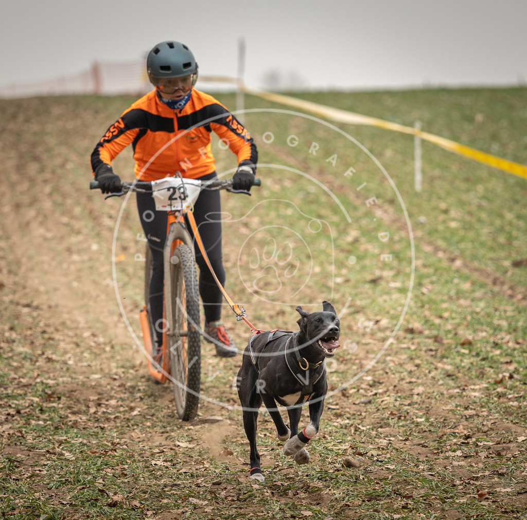 Pfotenfotografie_DV3A3747 | Hundefotografie, Tierfotograf, Pfotenfotografie, Fotoshooting Hund, Hunde Portrait, Hundesport, Hundeportraits, Heideshooting, Hunde, Sportfotograf, Hundefotograf, Turnierhundsport, THS,  - Realisiert mit Pictrs.com