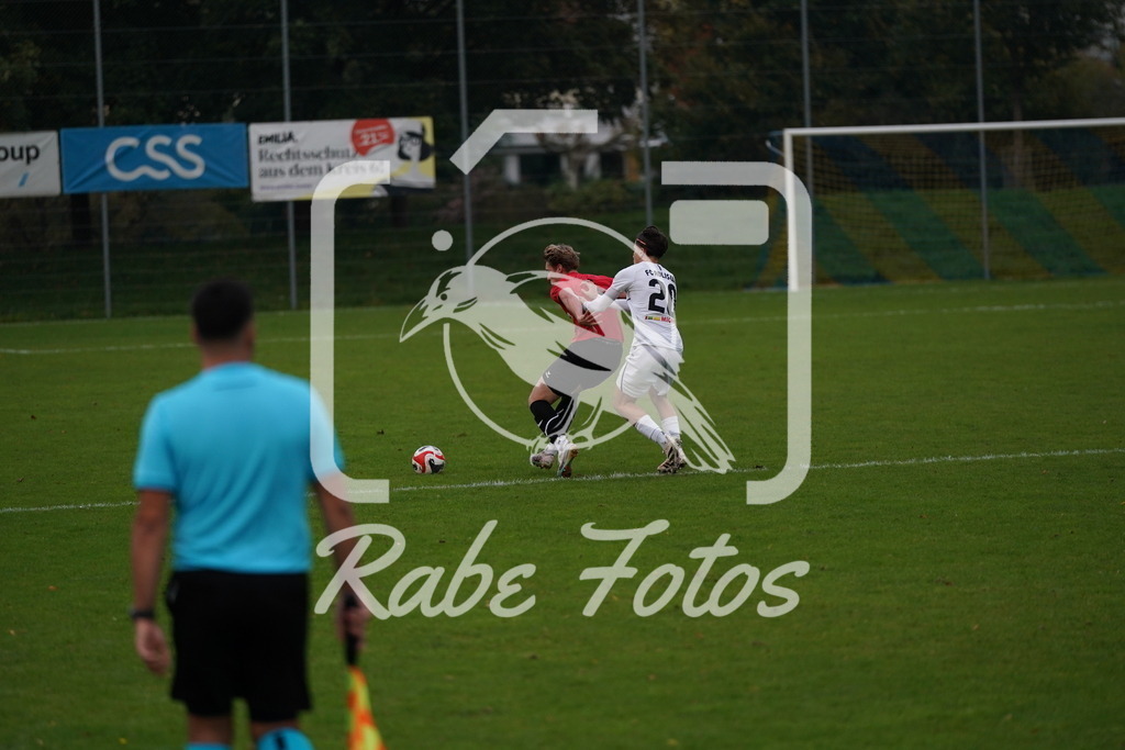 DSC08419 | rabefotos