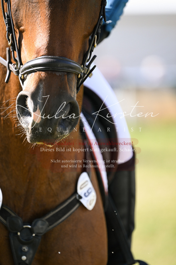 DSC_1125 | Pferde- und Turnierfotografie in Westsachsen. Pferdeportraits, Auftragszeichnungen und intuitive Kunst.