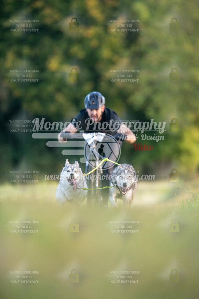 CDLBDB_15_10_2023_Dimanche-56 | PayLife