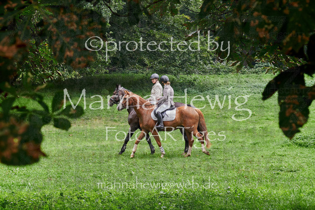 09-23 JAgd PerdölDSC01957_Marina Hewig | Fotografie, FotoArt, PferdesportArt, Pferdesportfotografie, Landschaftsfotografie, Reisefotografie, Reise, Pferde - Realisiert mit Pictrs.com