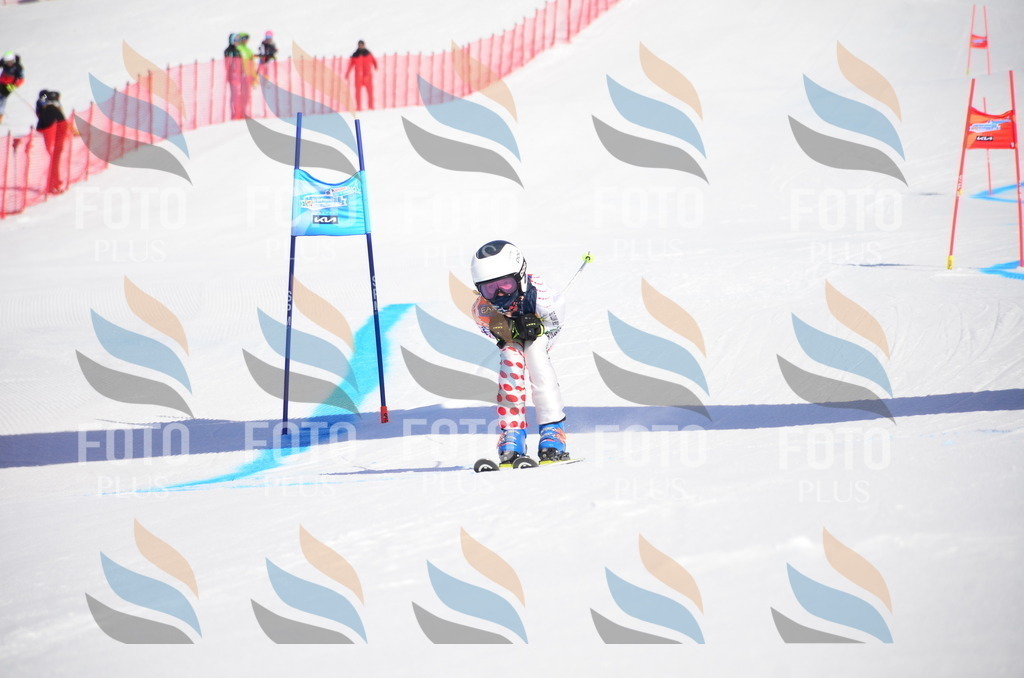 VR4_9045 | holidayphoto