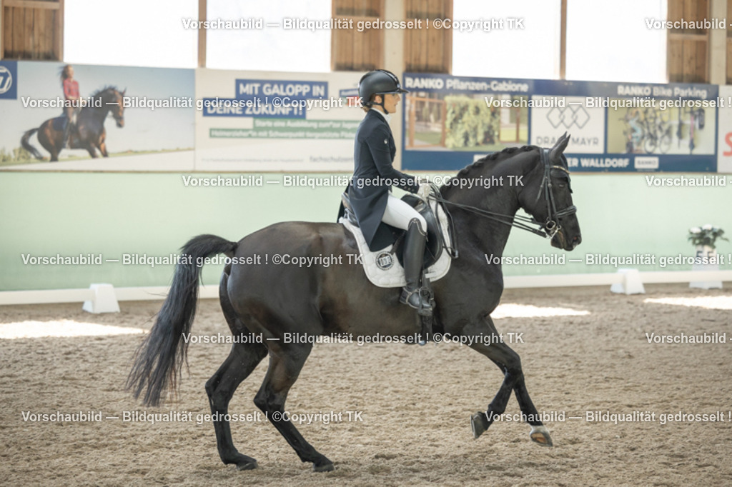 _D5A1707 | Emotionale Pferde- & People-Fotografie rund um Heidelberg, Leimen & Umgebung. Natürliche Fotos von Pferd, Mensch & Familie. Jetzt Termin sichern!