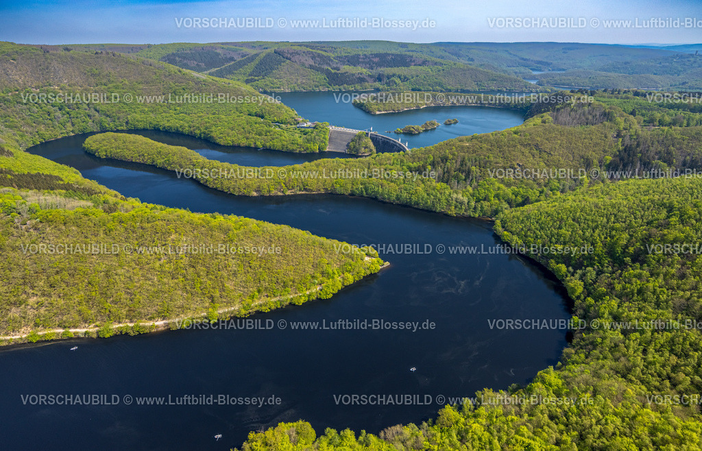 Schleiden240502003Eifel_Urfttalsperre | Luftbild, Fluss Rur und Urfttalsperre Urftsee, Fernsicht Waldgebiet Hügel und Täler, Nordeifel Nationalpark Eifel, Rurberg, Simmerath, Nordrhein-Westfalen, Deutschland