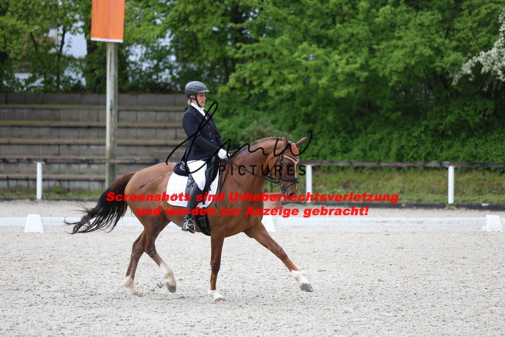 A40A9074 | lmwpictures - Realisiert mit Pictrs.com