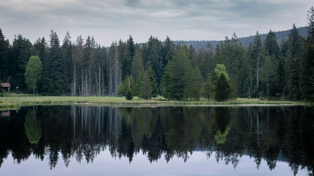 Morgenstimmung am Fichtelsee | Morgens am Fichtelsee - Realisiert mit Pictrs.com