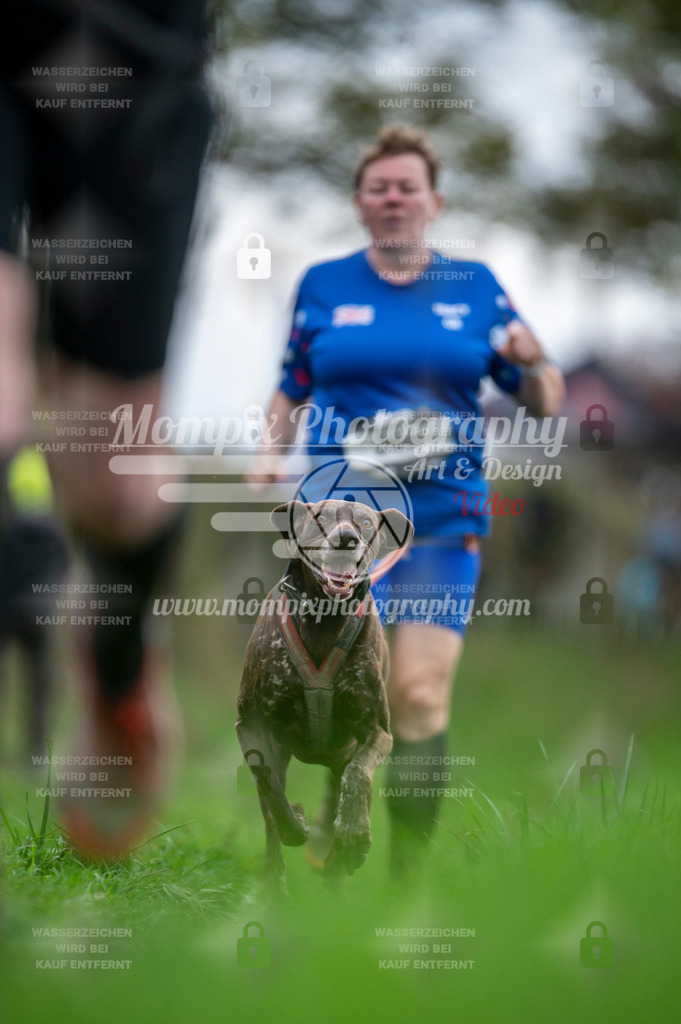 TSB_2023_E8_Canicross-13 | PayLife