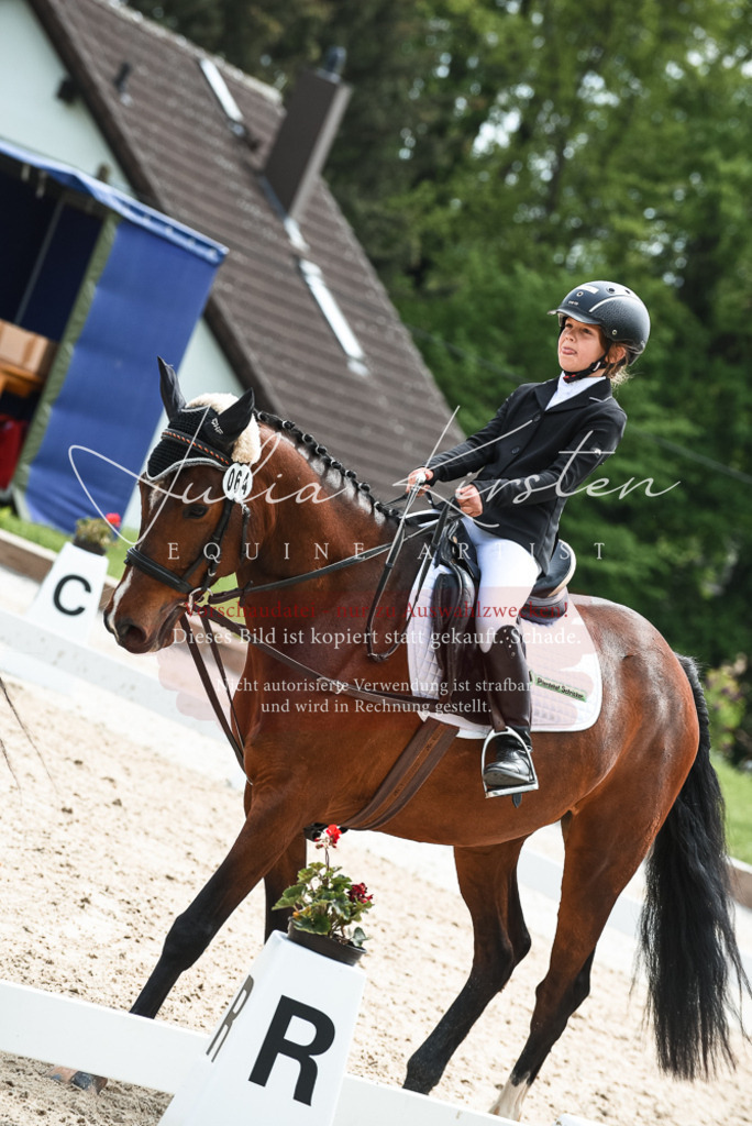 20230518_JK-Röhrsdorf-11-0104 | Pferde- und Turnierfotografie in Westsachsen. Pferdeportraits, Auftragszeichnungen und intuitive Kunst.