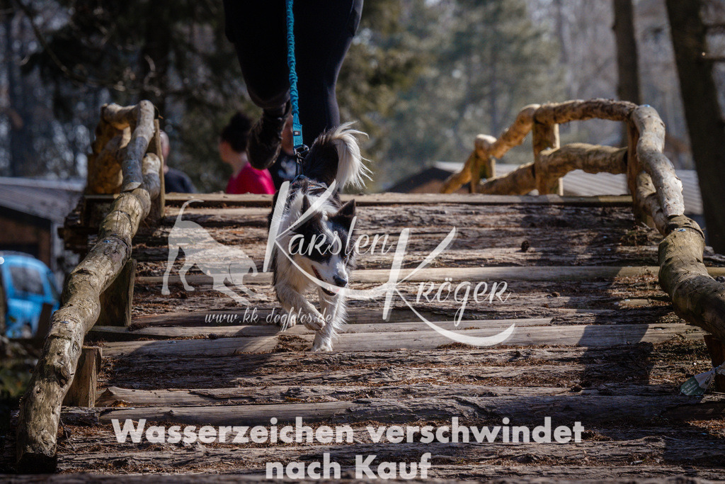 1355_ZZ96526 | kk-dogfotos