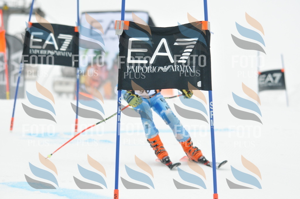 DSC_7979 | holidayphoto