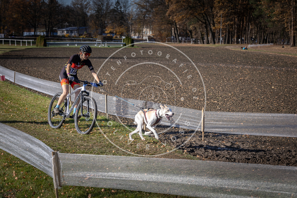 CaniXpix_DV3A7356 | Hundefotografie, Tierfotograf, Pfotenfotografie, Fotoshooting Hund, Hunde Portrait, Hundesport, Hundeportraits, Heideshooting, Hunde, Sportfotograf, Hundefotograf, Turnierhundsport, THS,  - Realisiert mit Pictrs.com