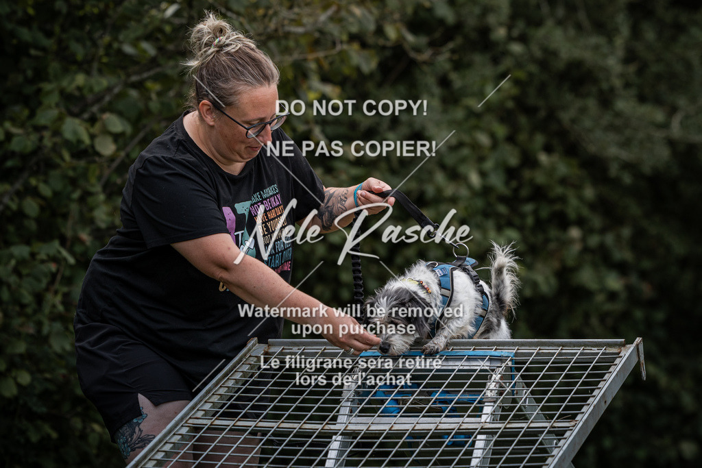 nelerasche_SoLauf_37 | nelerasche