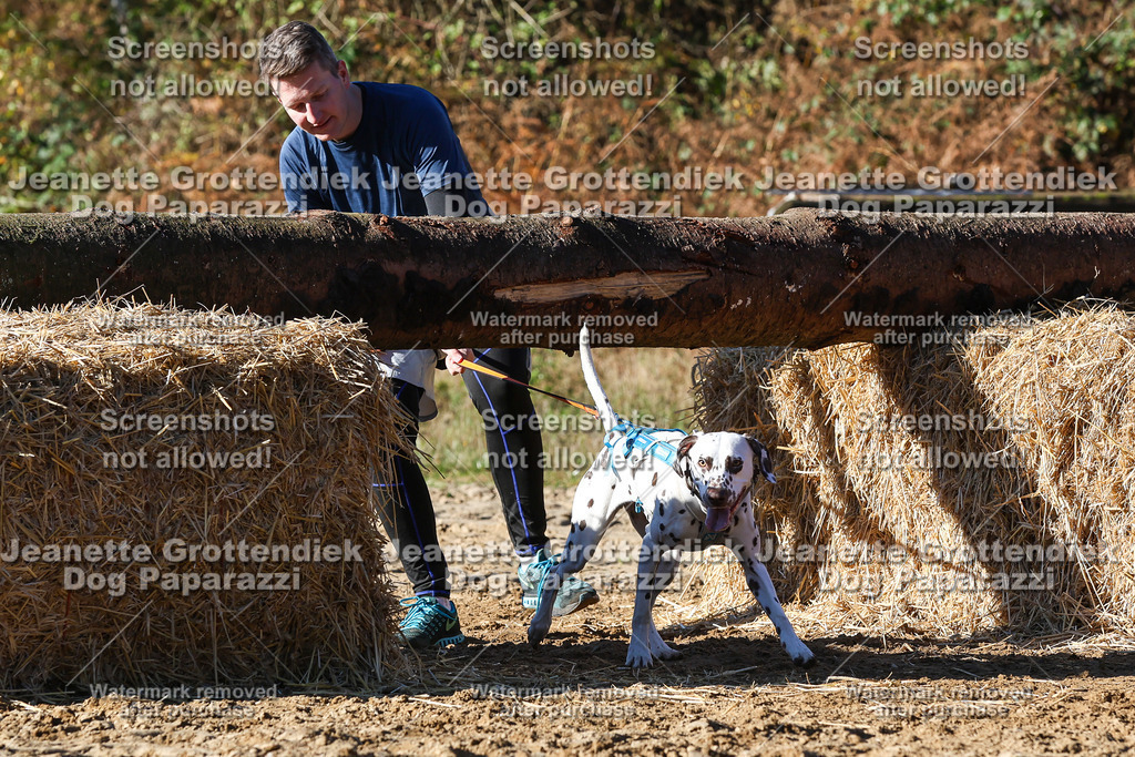 Dog Paparazzi - Strongdog 10-25-2092 | Dog Paparazzi Jeanette Grottendiek Fotografie & Videografie - Realisiert mit Pictrs.com