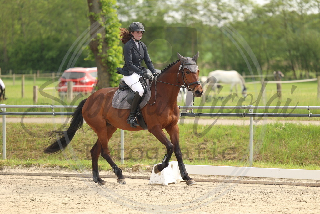 994A7602 | sabrinanicolaifotografie - Realisiert mit Pictrs.com